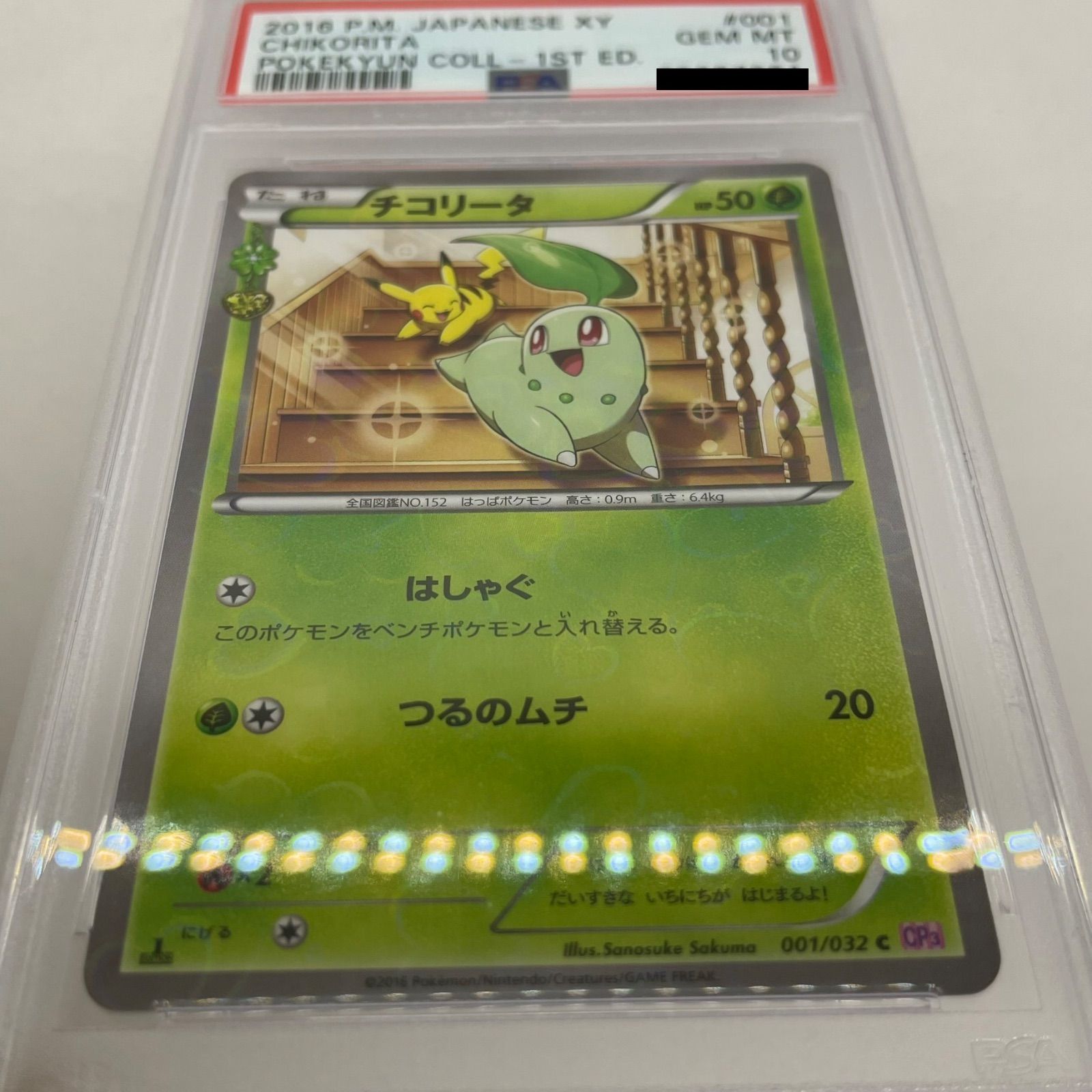 チコリータ ポケキュン PSA10 ポケモンカード キラ ホロ 鑑定品 XY