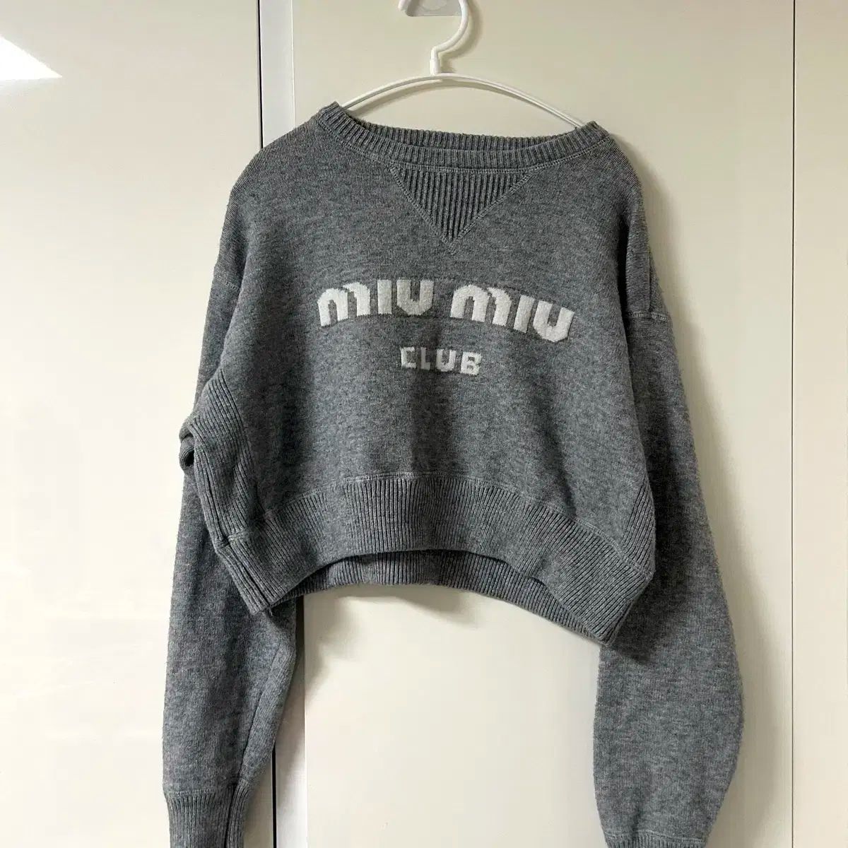 miumiuニット（Mサイズ） MIU MIU(ミュウミュウ) ロゴカシミヤラグランニットMML693