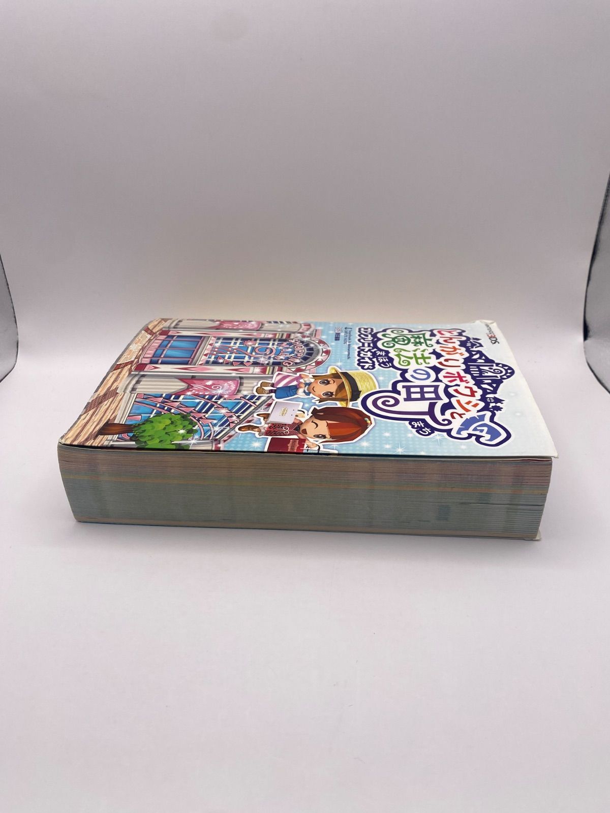 とんがりボウシと魔法の町 コンプリートガイド - メルカリ