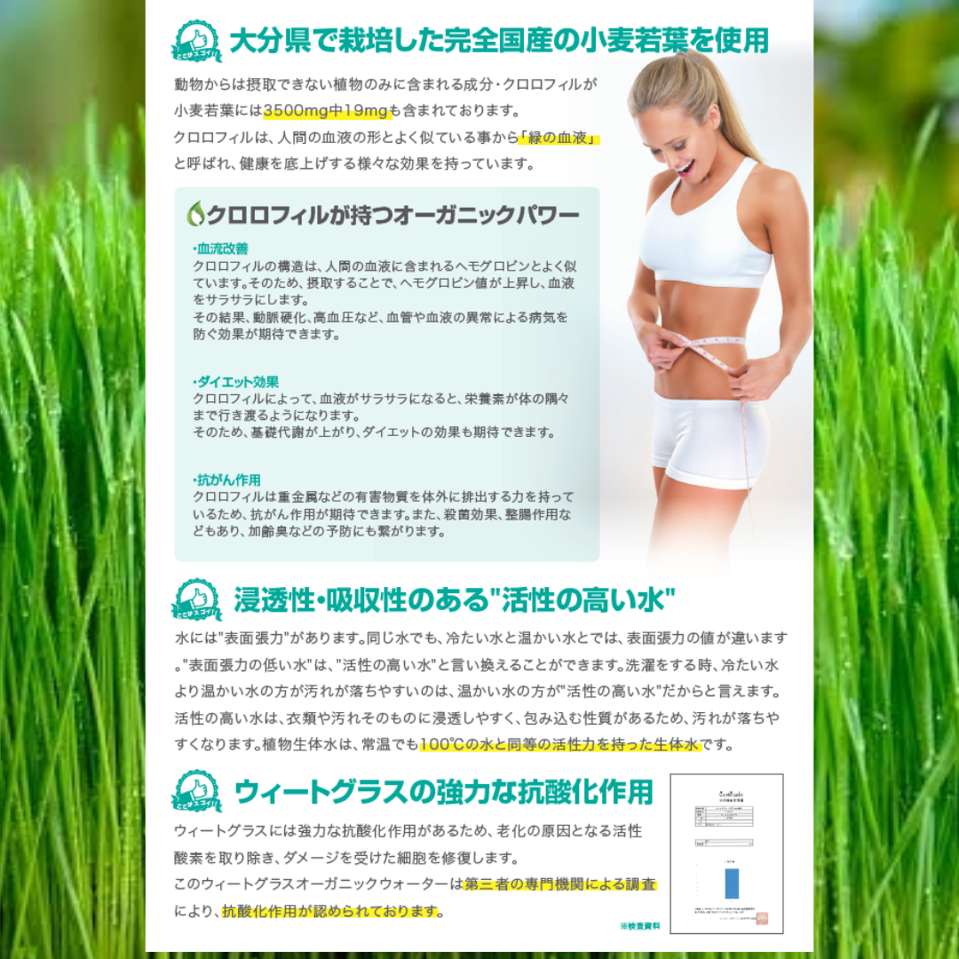 メルカリshops Shops ウィートグラス デトレッシュ パウダー