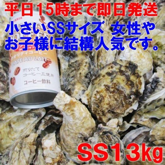 【15時まで即日発送も可能】「牡蠣 ＳＳ13ｋｇ」（約260粒）宮城県産 殻付き 牡蠣 加熱用 松島牡蠣屋 牡蛎 加熱用牡蠣 牡蠣加熱用 カキ 牡蛎 BBQ お花見 父の日 母の日 kaki 松島牡蠣屋かき バーベキュー 海産物 貝類