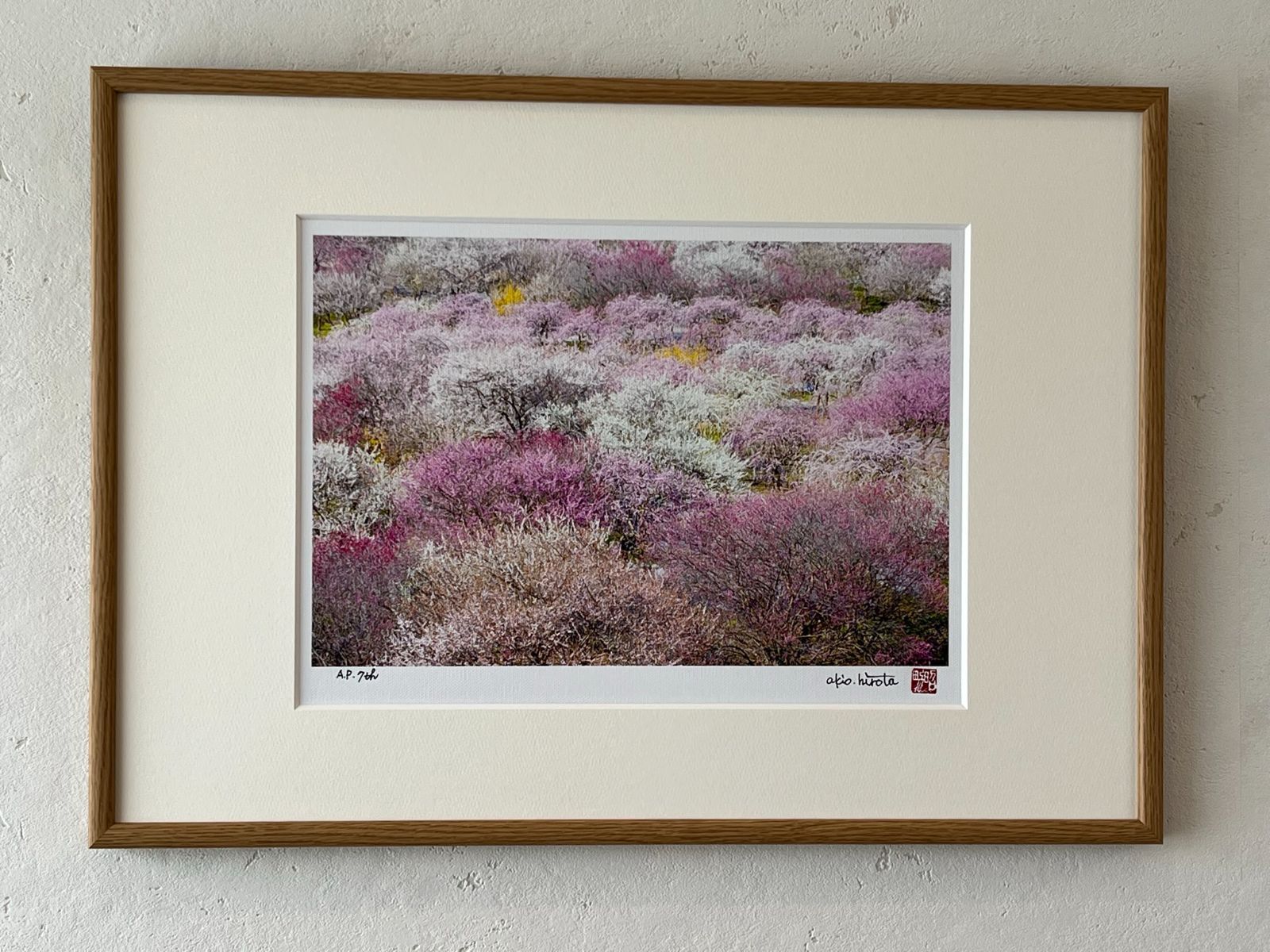 大澤扶二子□パリの街角□油彩画□真作保障□新品額装□F4号サイズ