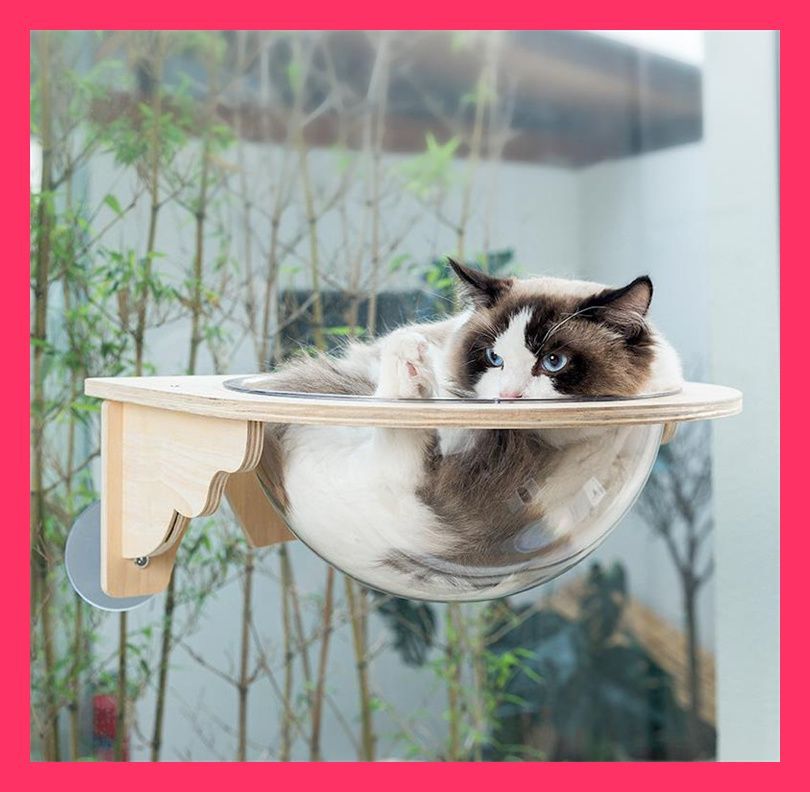 海外セレブ おしゃれ 猫用ハンモック 実木 透明宇宙船 猫用寝床 吊り下 猫用ハンモック 実木 透明宇宙船 猫用寝床 吊り下げ 吸盤 猫用ハンモック 実木 透明宇宙船 猫用 アンティーク おしゃれ こだわり N2JY20250817