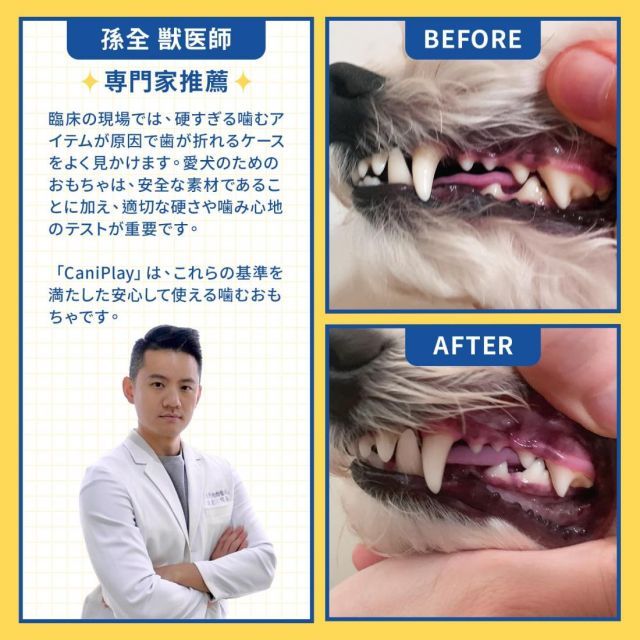 CaniPlay 犬用噛むおもちゃ 天然ゴム製 無添加 安全無毒 BPAフリー 犬 デンタルケア 20通りの 耐久性 獣医師＆犬訓練士監修 WWW_GEBZETESISAT_COM_TR