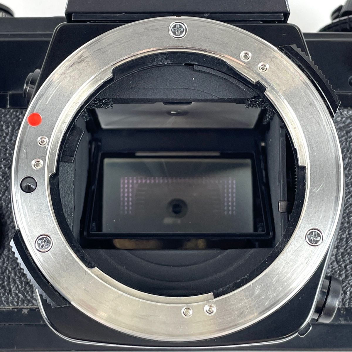 OLYMPUS OM4Ti ボディ フィルムカメラ MF一眼レフ 説明書付 【公式通販】
