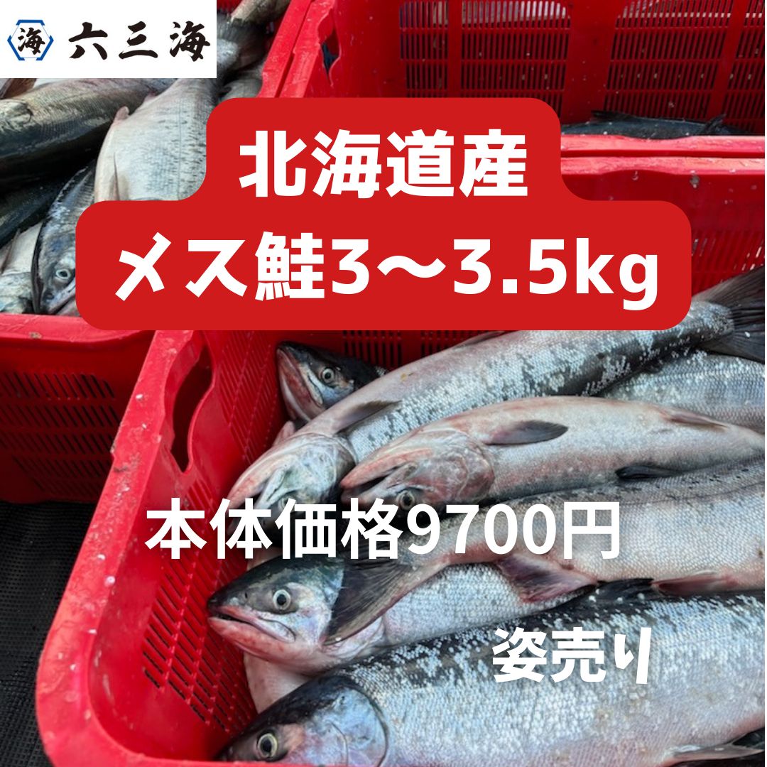 琉球切手138種コレクション！貝、蟹、民芸、文化財、年賀、舞踊切手等