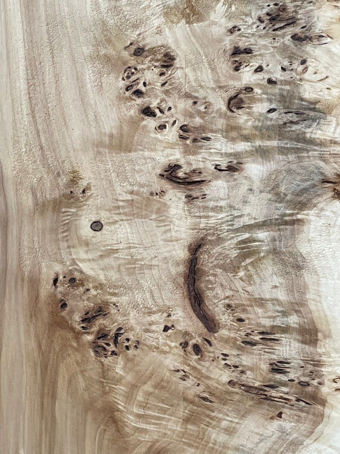 ポプラ M320 特大 一枚板 乾燥材 棚板 カウンター テーブル DIY 耳付 天板 座卓 テレビボード 全国都道府県 MARWIL-DEMENAGEMENTS_CH