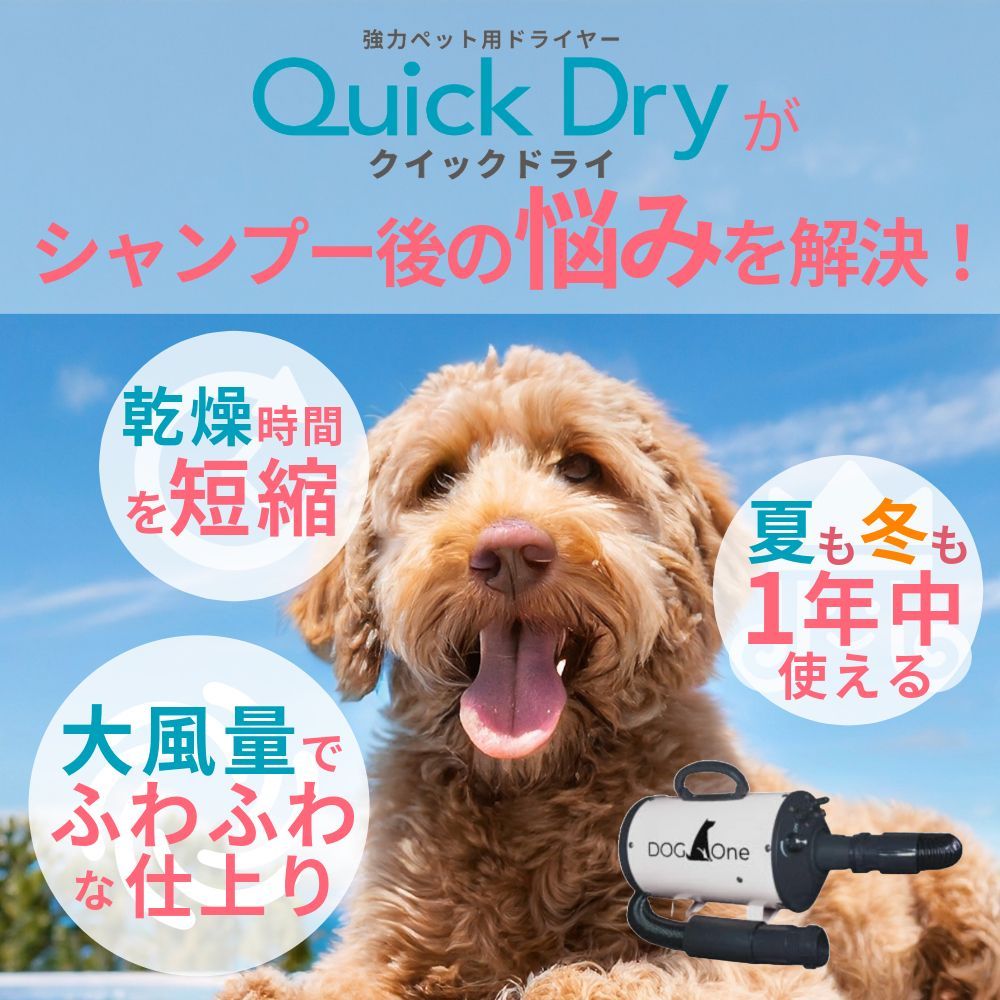 超強風 速乾