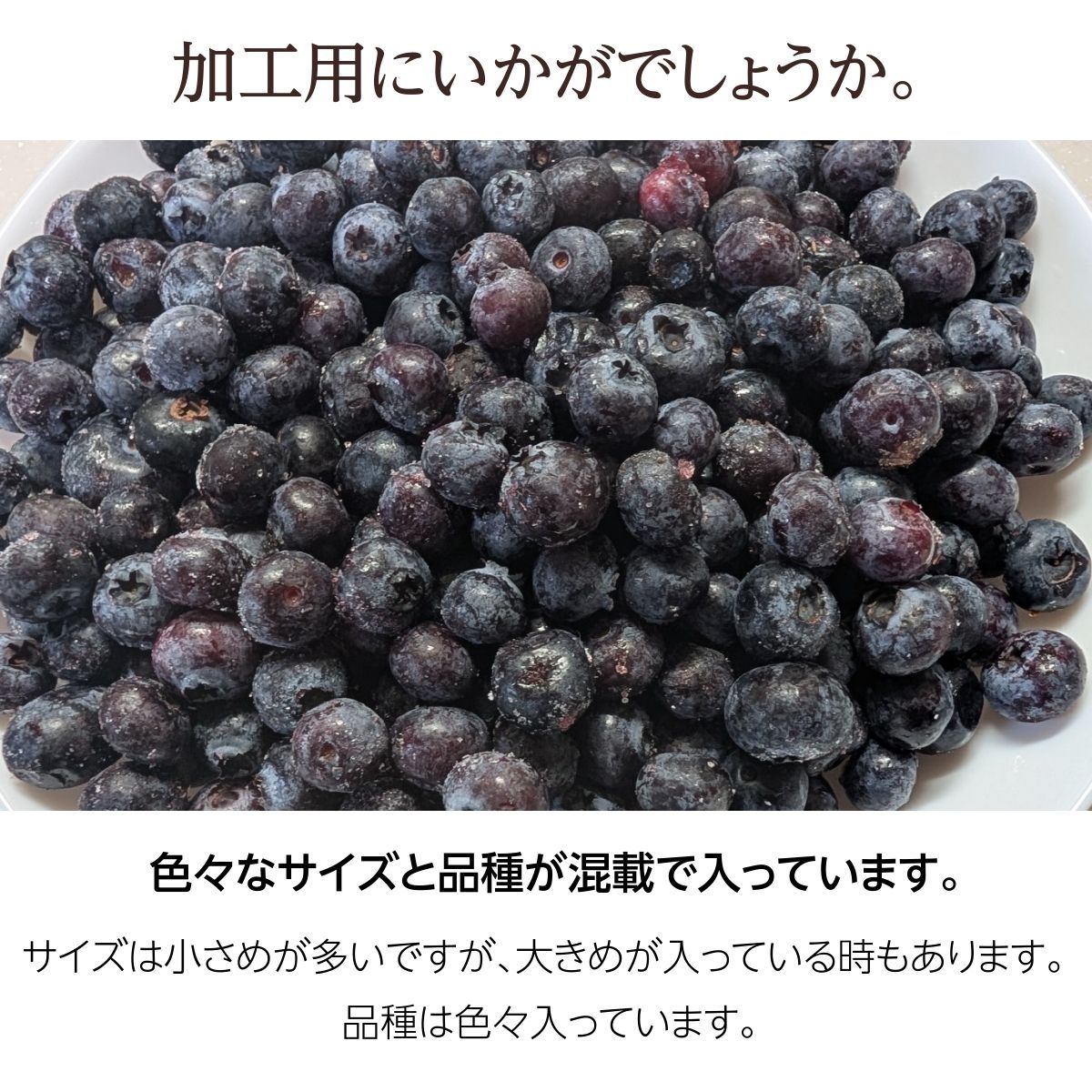 冷凍ブルーベリー 加工用