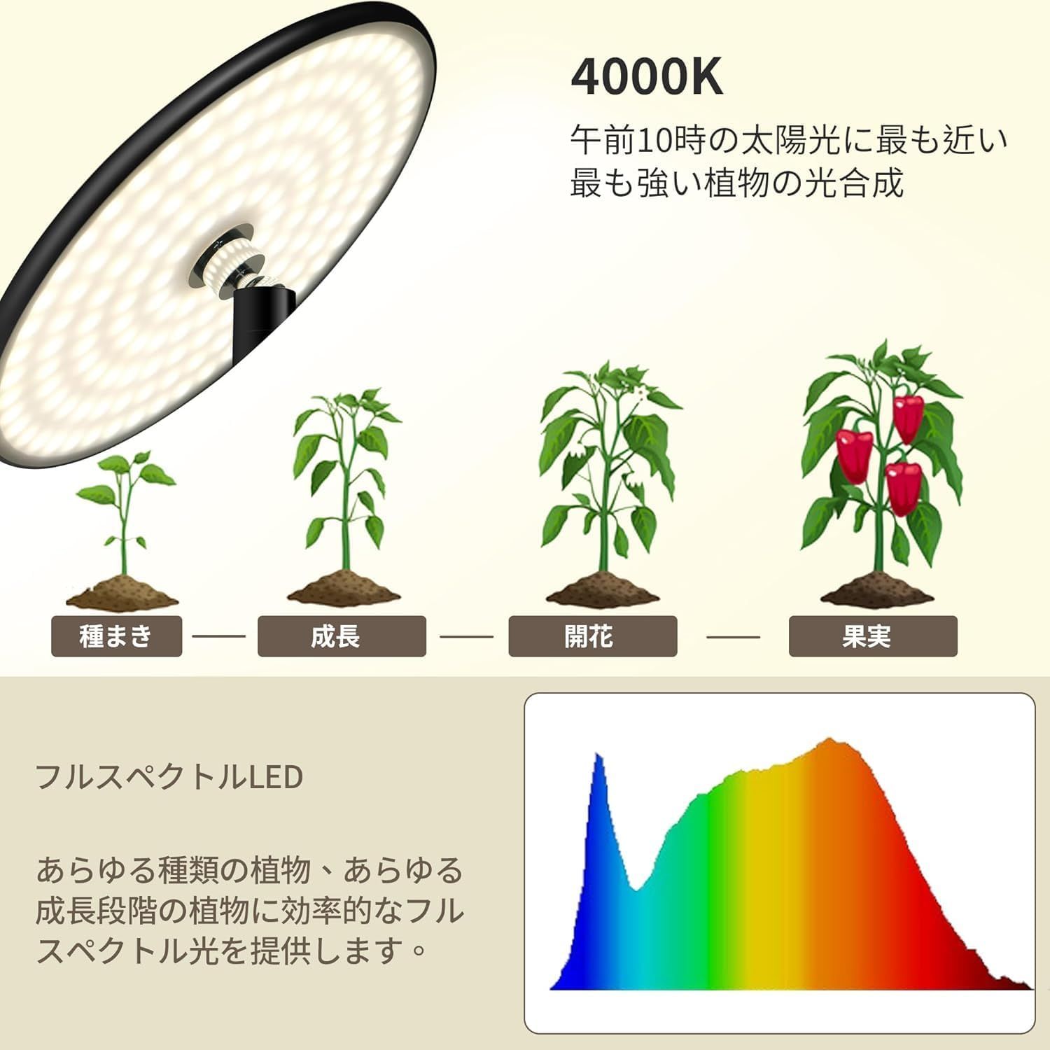 175cm 屋内園芸