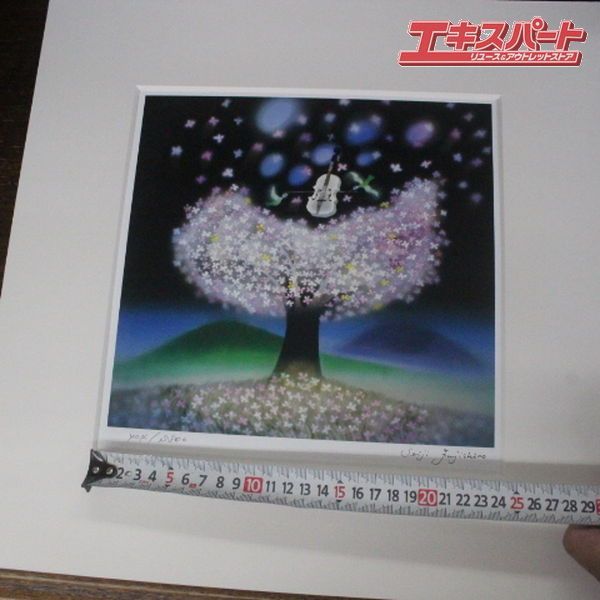 35cm×35cm エキスパート藤沢辻堂店