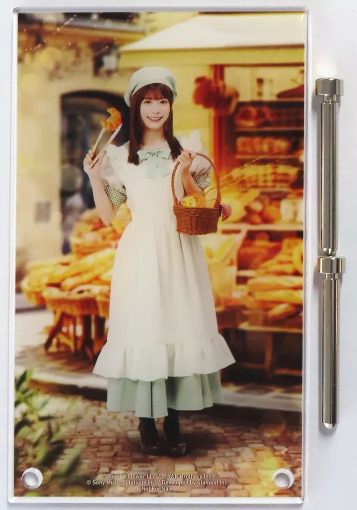 ひな図書　東村芽依　アクリルアートパネル 中古】アクリルスタンド・アクリルパネル 東村芽依 アクリルアート