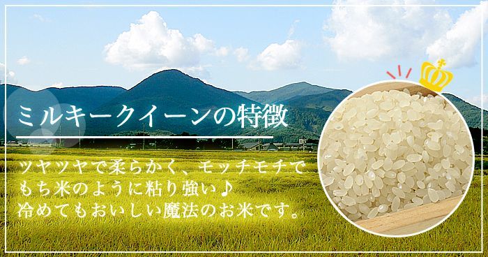 福島県中通り産 ミルキークイーン 玄米 30kg(白米 約27kg) 令和5年産 米 お米 ※沖縄県・離島対応不可 - 米・雑穀・粉類