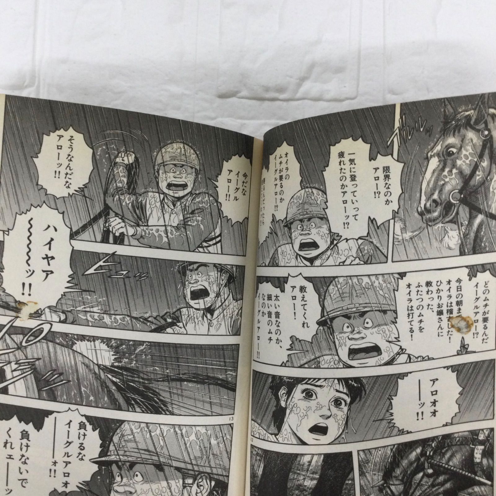 完結】ひかりの空 かざま鋭二 週刊ヤングサンデー 小学館 1-29