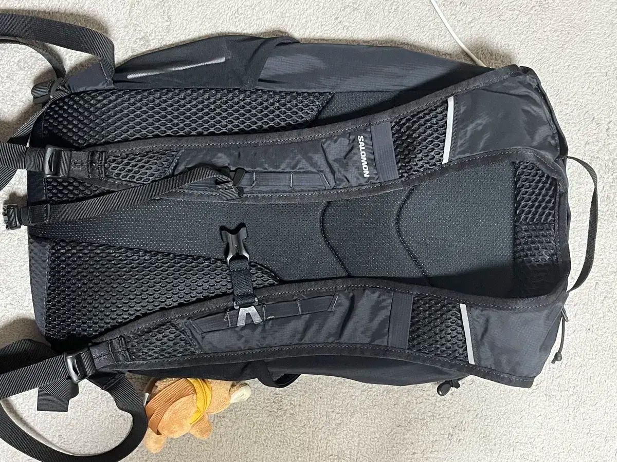 Salomon サロモン トレイル ブレザー 10 ブラック バックパック