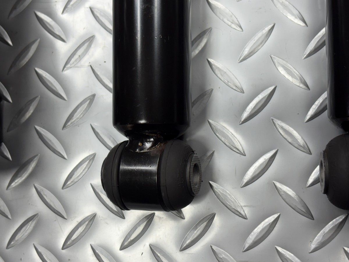 ショック 25050061