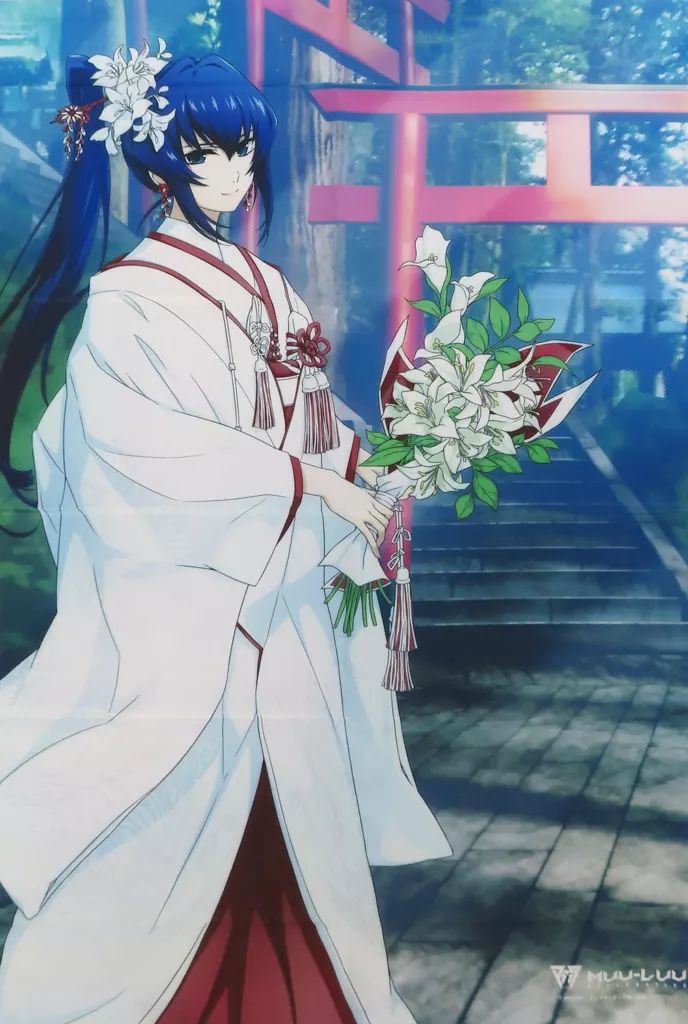 タペストリー 御剣冥夜 描き下ろしB1タペストリー マブラヴ オルタネイティヴ Blu-ray Box III ソフマップ アニメガ 特典