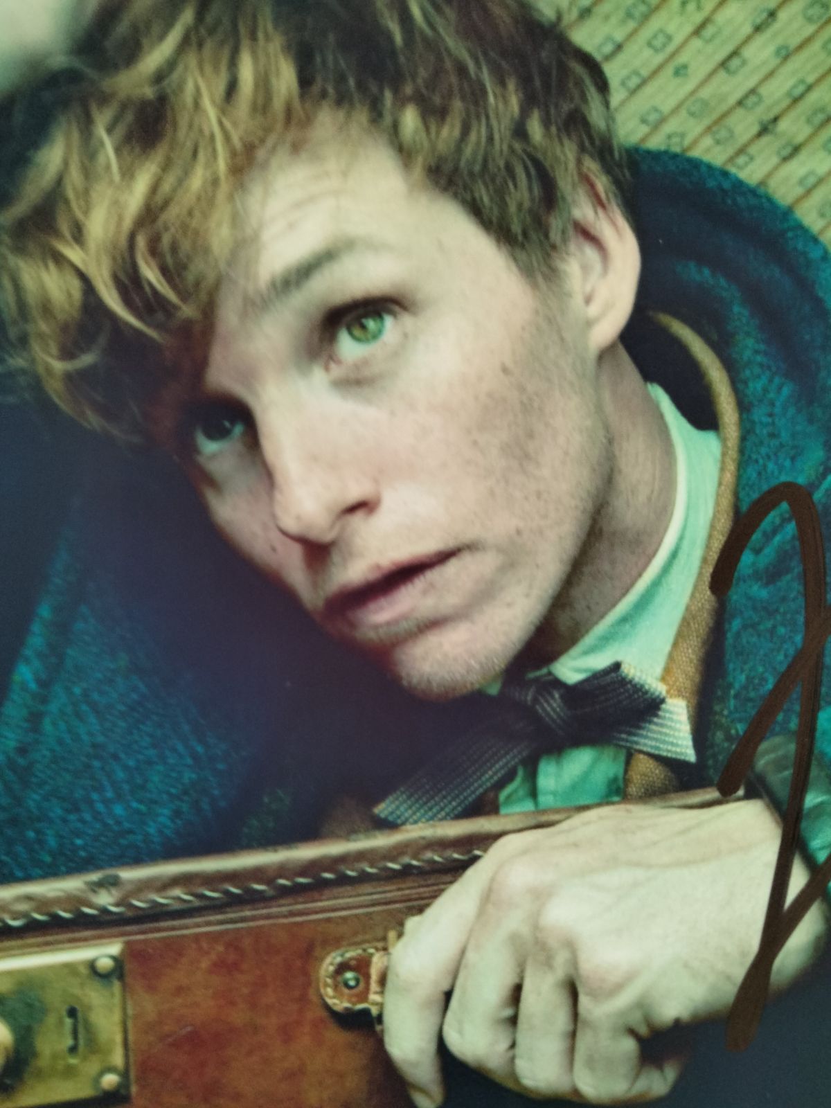 エディ・レッドメイン直筆サイン入り2Lサイズ写真…Eddie Redmayne 