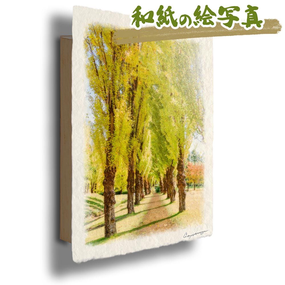 和紙の絵写真 「黄色に輝くポプラ並木」 パネル付き 48x33cm 絵画 インテリア 玄関 風水 風景画 アート パネル ポスター おしゃれ 新築祝い 絵 壁掛け 和モダン 和風 ジャパンディ秋 黄色 道 木