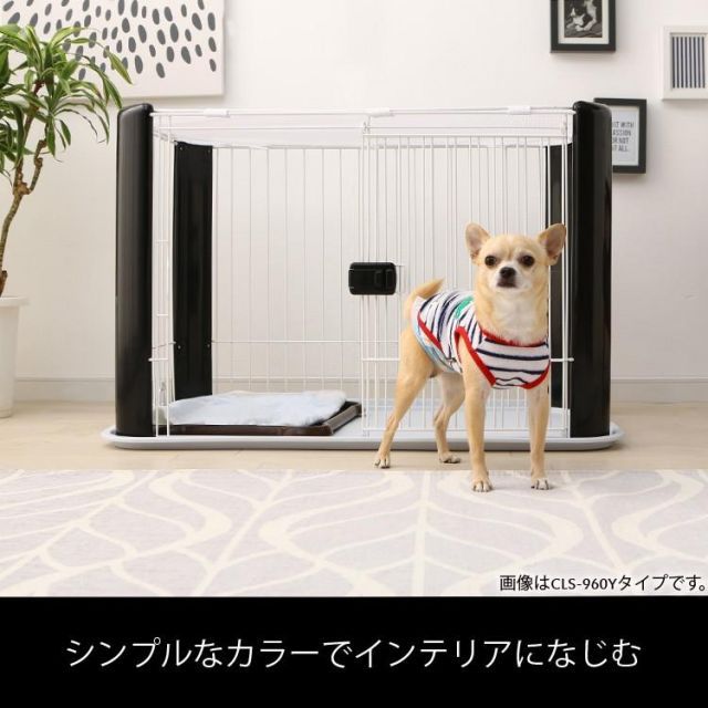 小型犬