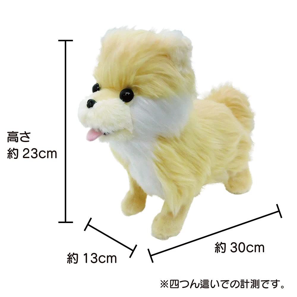 首輪付き