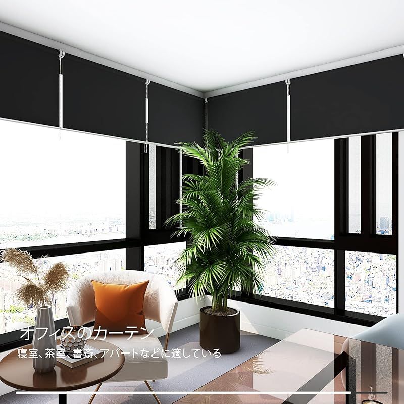 Deconovo ロールスクリーン ロールカーテン 幅160cm 丈180cm ブラック