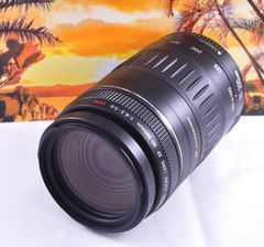 大切な今を望遠で！Canon Zoom LENS EF90-300mm F4.5-5.6 USM イベントに大活躍 ！キヤノン 望遠レンズ Zoom LENS 交換レンズ 一眼カメラ EOS Kiss レンズフード