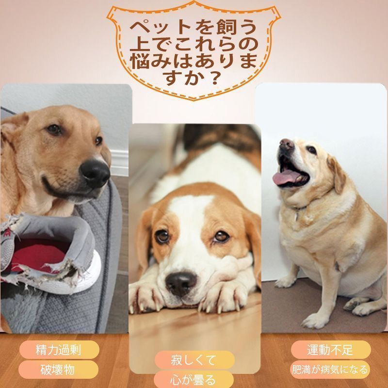 犬 自動