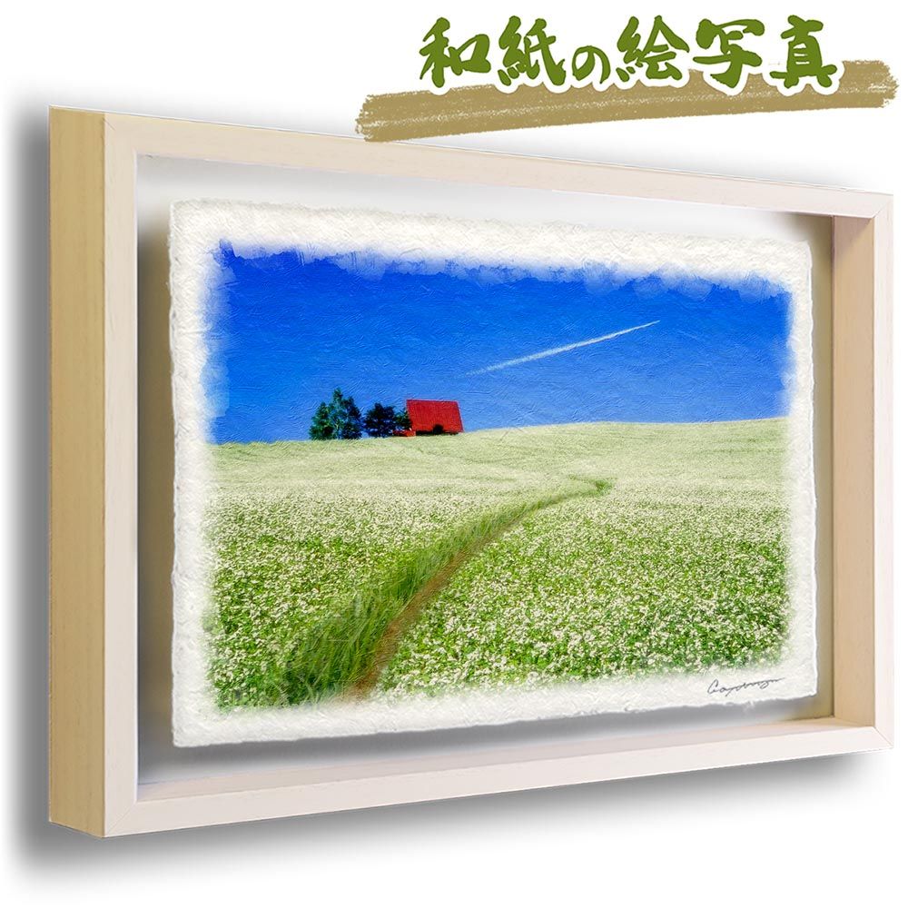 和紙の絵写真 「一面の白いソバの花畑と赤い家」 立体額縁付き 節約