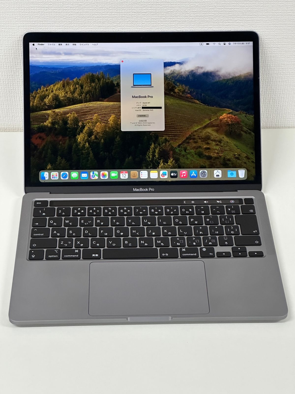 Apple MacBook Pro Apple M1 Chip (13インチPro, 8GB RAM, 256GB SSD