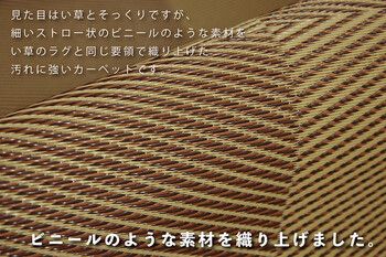 ラグ 洗える ござ 江戸間6畳 約261×352cm 日本製 国産 カーペット 丈夫 敷詰 ラグ 敷物 アウトドア レジャー ペット ラフテル