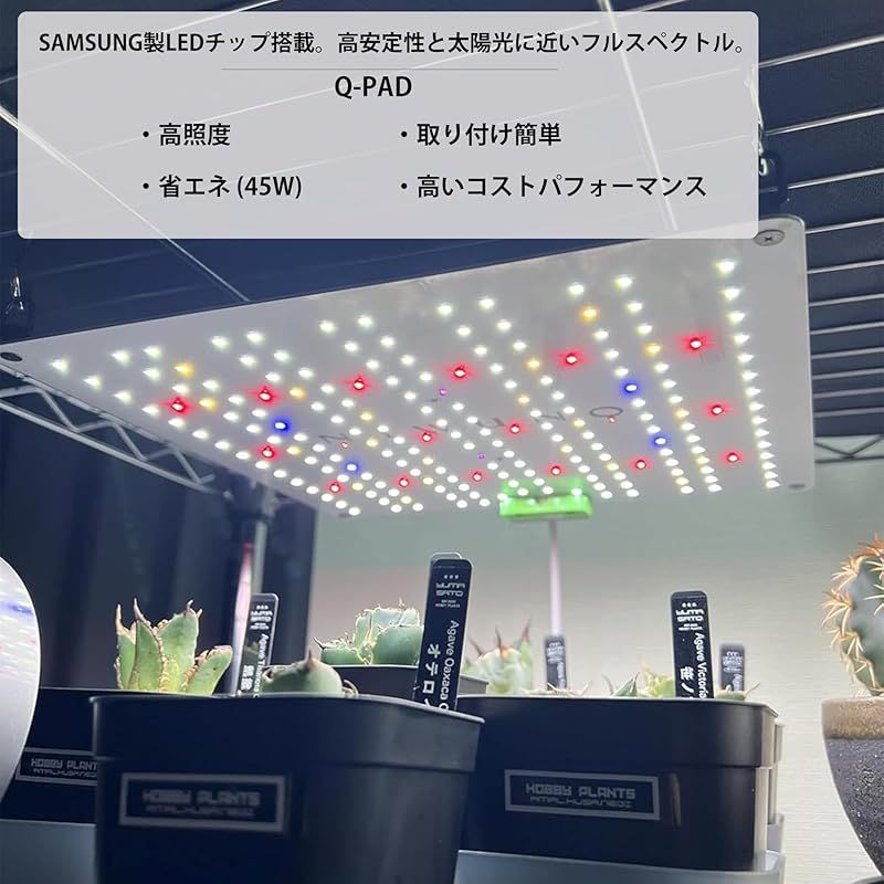 Niwuno 植物育成ライト パネル式 LEDライト UVa IR 観葉植物 アガベ 塊根 水槽 多肉植物 ビカクシダ アクアリウム Aurora Q-Pad 5500K 45W 1枚入 0 WWW_OLIVIERBERNSTEIN_COM