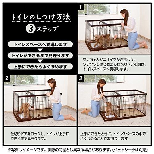 ペティオ Petio