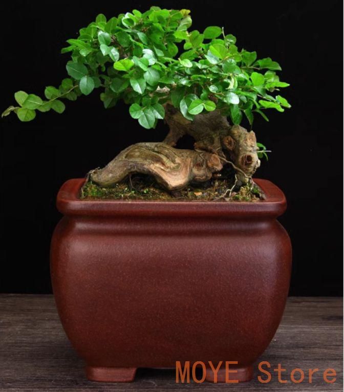 宋汝窯開片釉獅子蓋薫香炉 景徳鎮 陶磁器 装飾品 現代工芸品 美術品