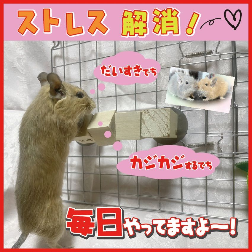 カラカラキューブデグー チンチラ おもちゃ - 小動物用品