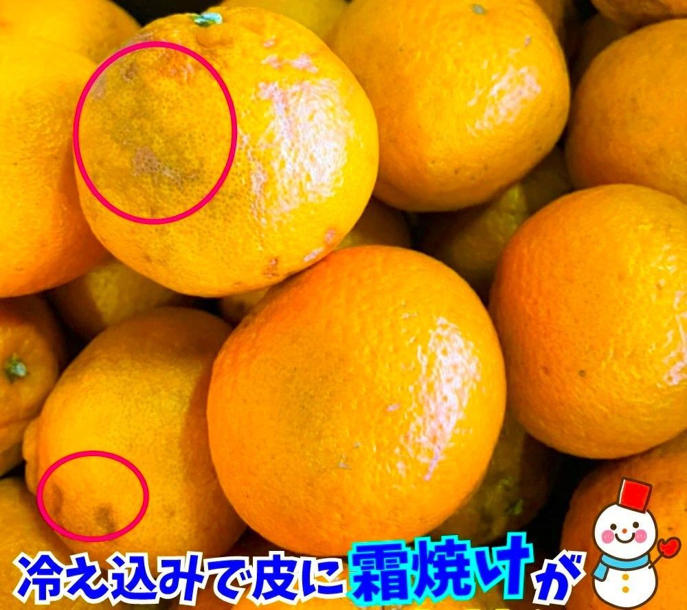 のサムネイル