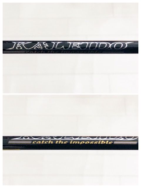 GTR-C66LR