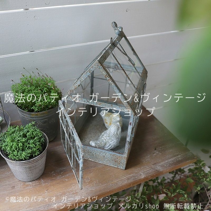 掛け軸 安江不空 釣人 紙本 希少 軸装 茶道具 掛軸 美品 です