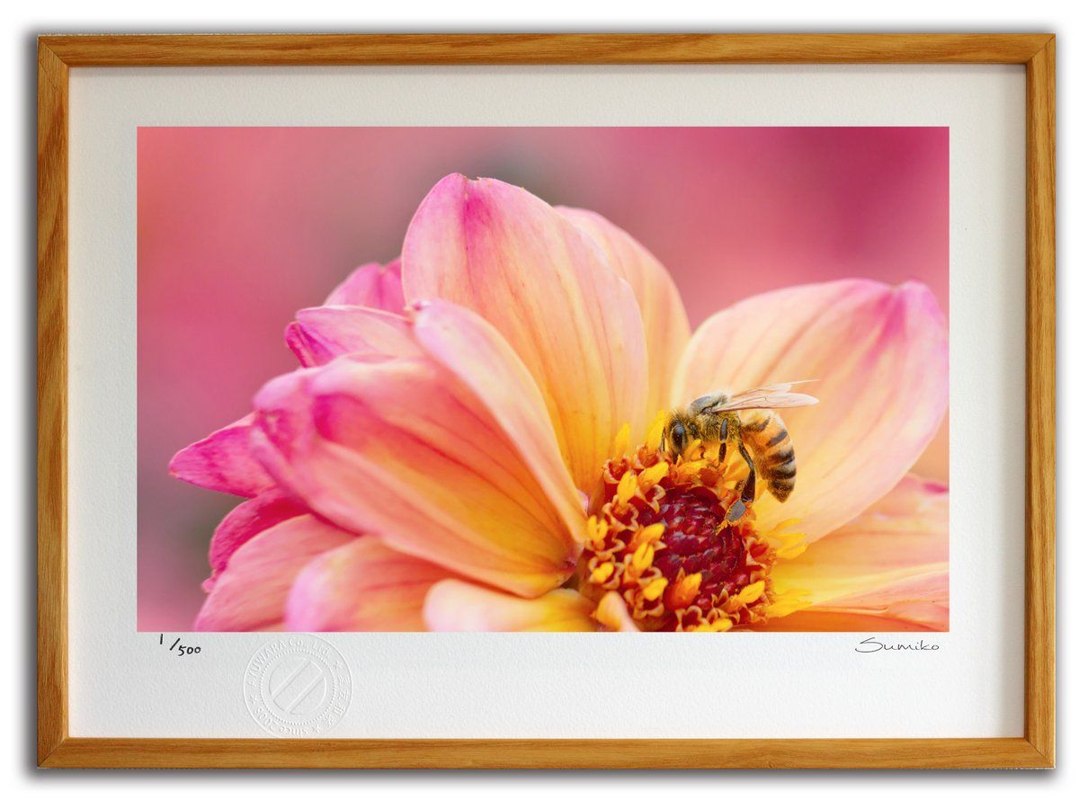 ☆竹内まりやさん☆非売品☆B1サイズポスター☆タワレコ当選品☆超激