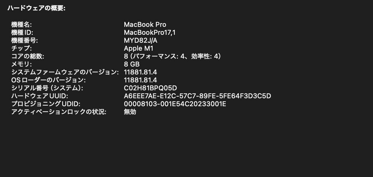 13インチ