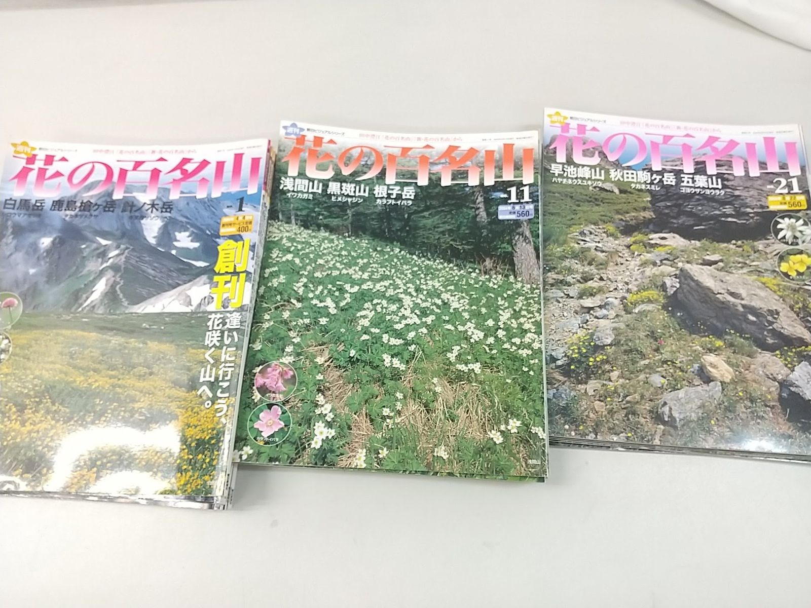 まとめ売り・バラ売り不可】週刊 花の百名山 全30冊セット 朝日