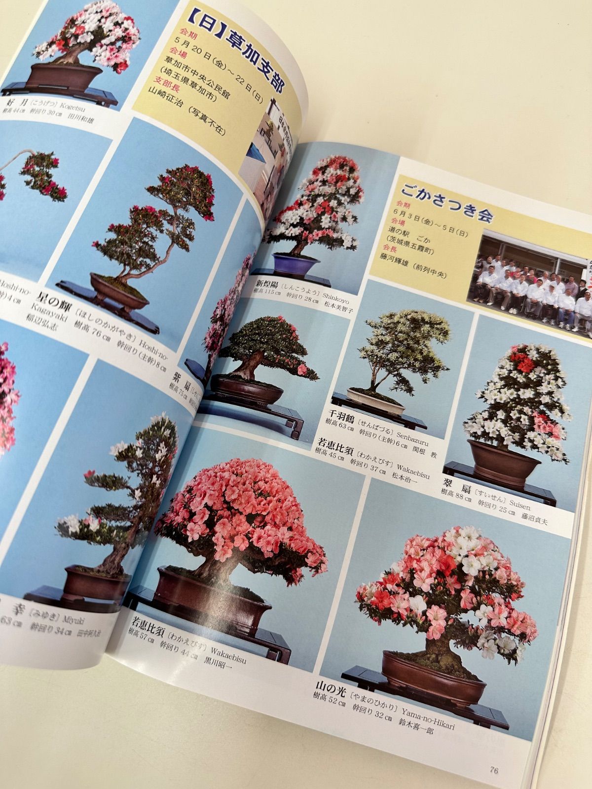 N257 花と盆栽 さつき研究 2011年8月号 盆栽 雑誌 趣味 専門誌