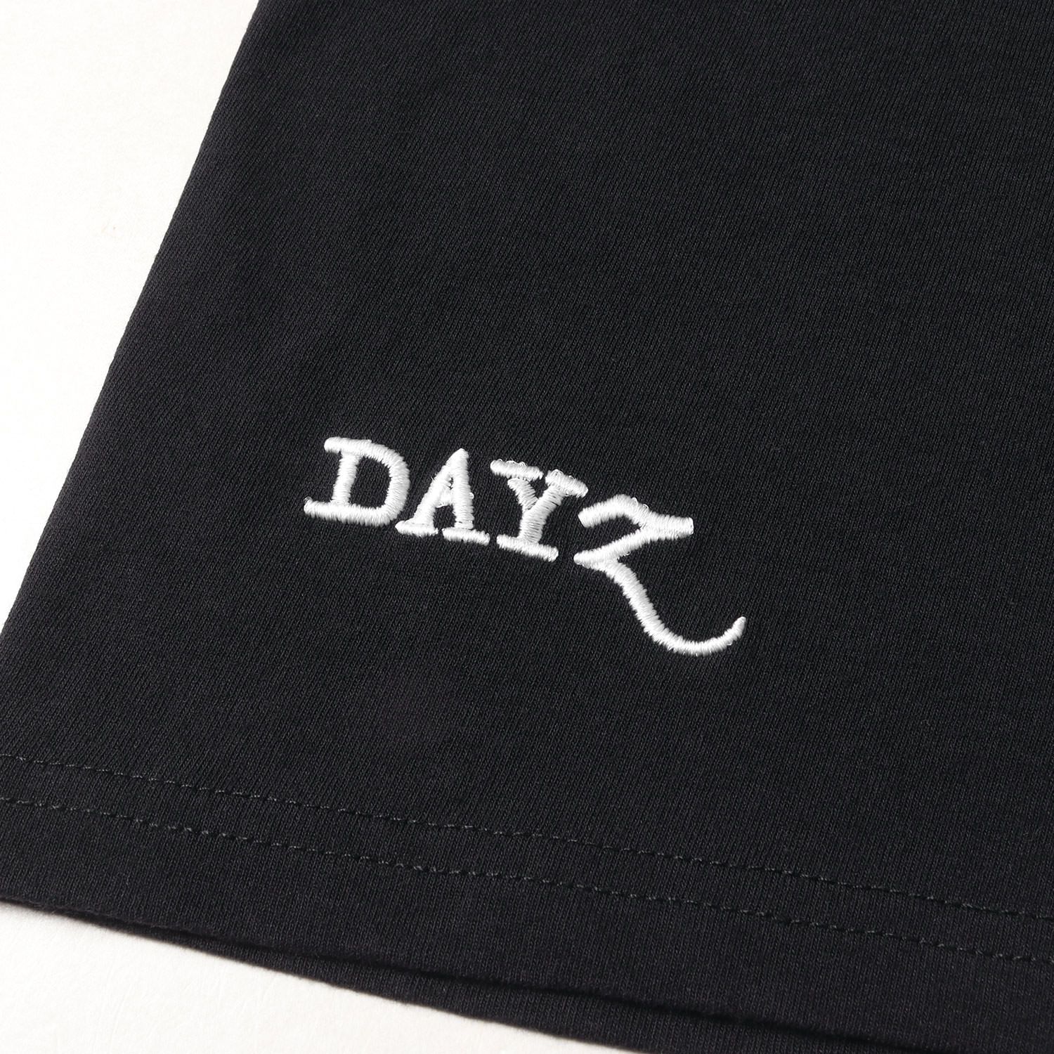 美品 RATS ラッツ Tシャツ サイズ:XL 22SS 15周年記念 DAYZ限定 FULL 