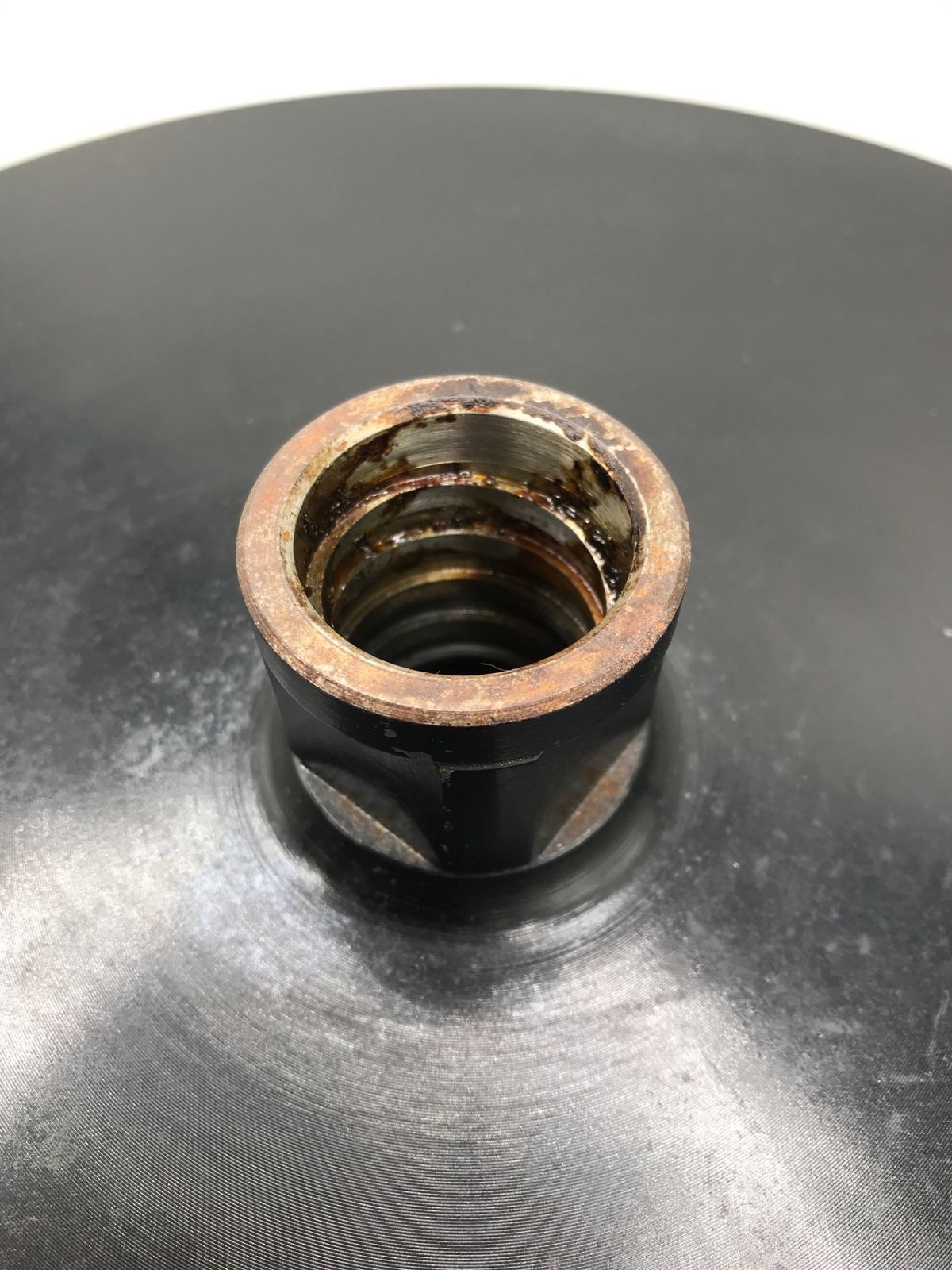 φ310mm