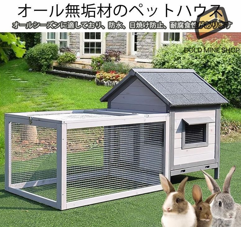 ウサギ 犬
