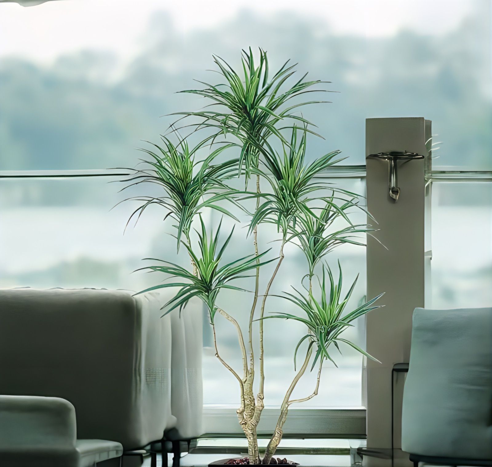 光触媒　人工観葉植物　ウォールグリーン　フェイクグリーン　コンシナトリコロル14 光触媒 人工観葉植物 ウォールグリーン フェイクグリーン コン