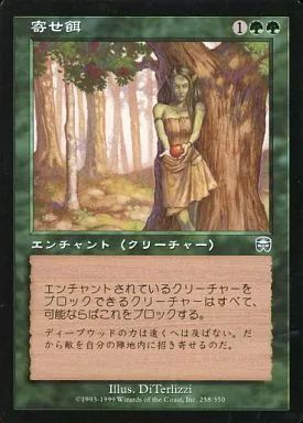 中古】マジックザギャザリング 258/350[U]：【MMQ】寄せ餌/Lure - メルカリ