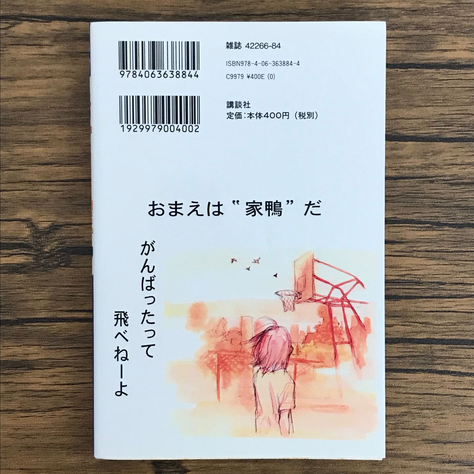 あひるの空　全17巻　レンタル落ち Yahoo!オークション - あひるの空 DVD全17巻セット レンタル