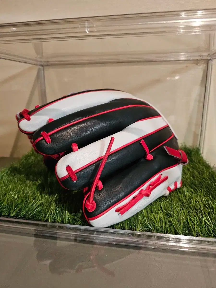 プロステイタス 内野