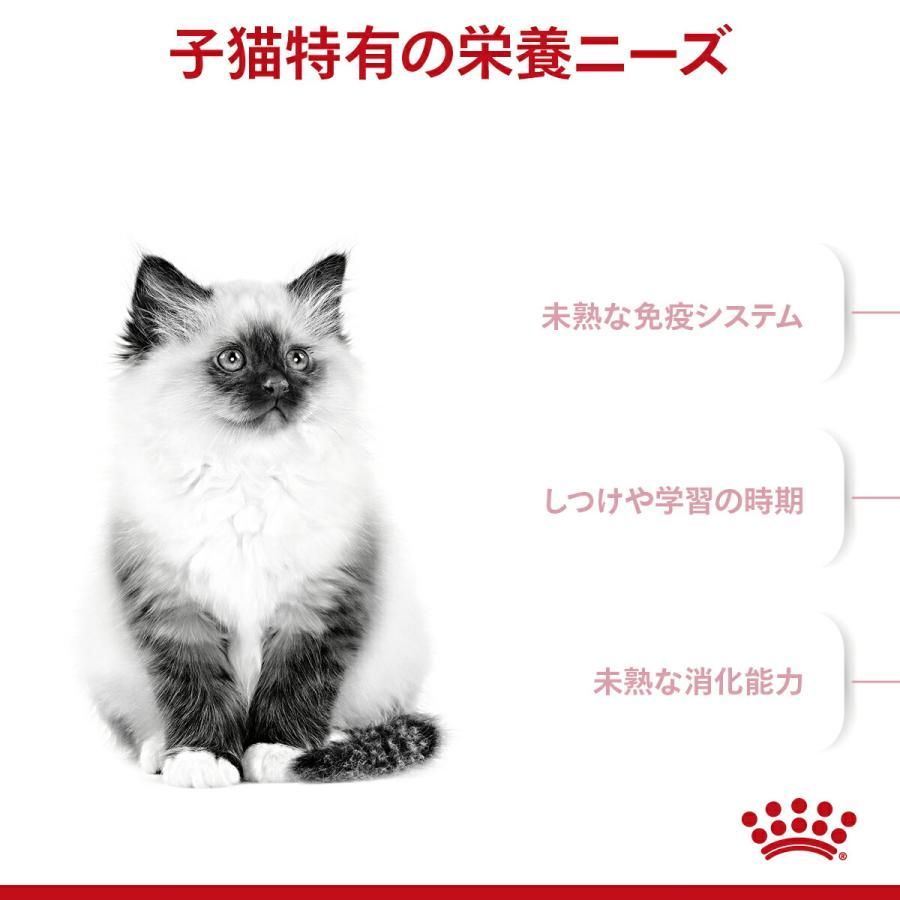 キトン